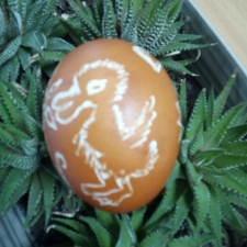 Kwarantanna w bibliotece_1