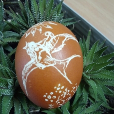 Kwarantanna w bibliotece_2