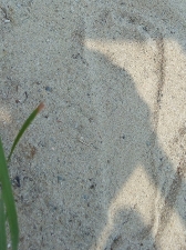 Pożegnanie wakacji w bibliotece_5