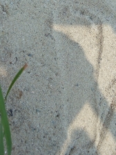 Pożegnanie wakacji w bibliotece_5